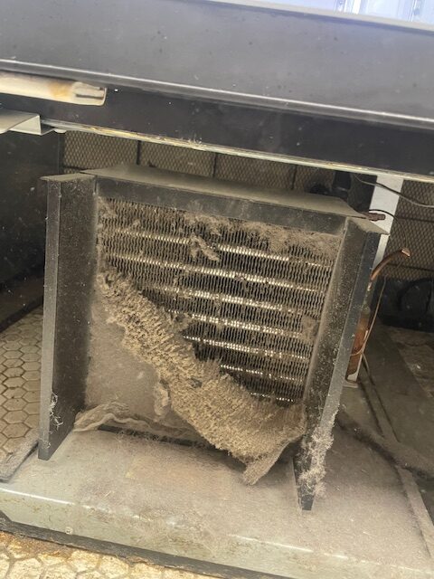 Condenser Coil Before
